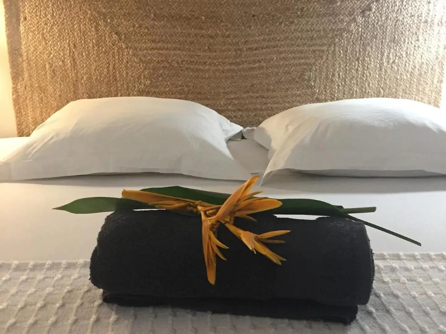 Villa Vue De Reve Mer & Foret Primaire Les Trois-Ilets
